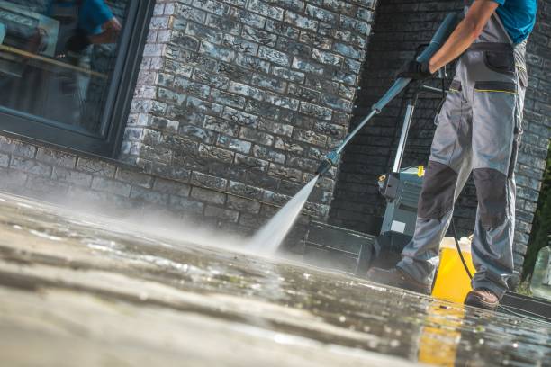 Best Animal Enclosure Cleaning  in Mississippi State, MS
